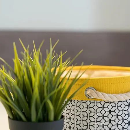 Apartment Guestready - D'alma - Stª Catarina 1e Porto