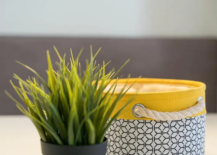 公寓 Guestready - D'alma - Stª Catarina 1e 波尔图